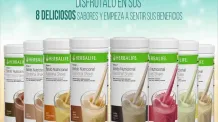 Batidos de proteinas - Una guía para principiantes