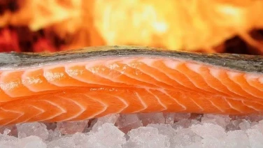 Cosas que le pasan a tu cuerpo cuando comes salmón todos los días