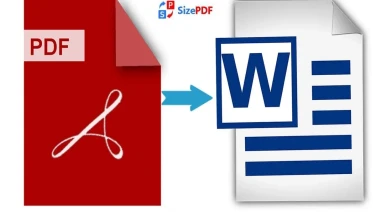 El Mejor Convertidor de PDF a Word Disponible en Línea
