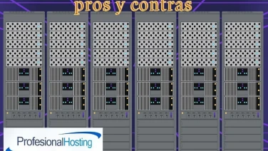 Hosting profesional barato: pros y contras
