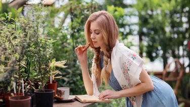 Manual sobre como transformar su jardín en PDF