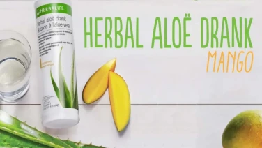 ¡Qué es exactamente el Aloe vera!