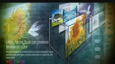 Utilice Adobe Stock Con Bibliotecas Creative Cloud