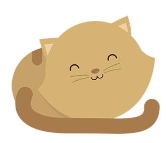 a cute kitten