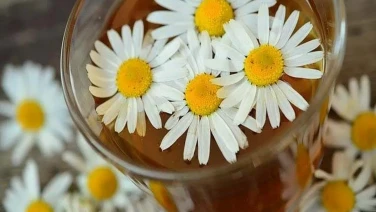 Beneficios del Té de manzanilla