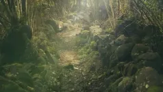 Cita motivacional - El Camino