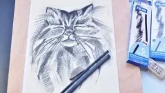 Como dibujar un retrato a carbón de un gato