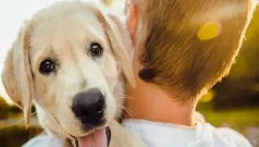 Consejos para el cuidado de perros