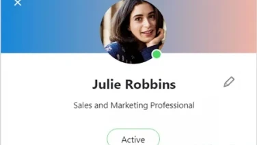 Cómo acertar su entrevista en Skype