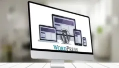 Cómo personalizar un tema básico de WordPress desde menú de personalización