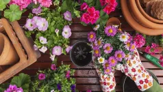 El pasatiempo de la jardinería