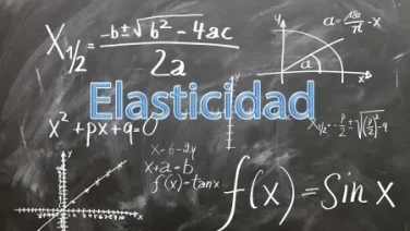 Elasticidad