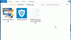 Emsisoft Libera una Decrypter para los ransomware HydraCrypt y UmbreCrypt