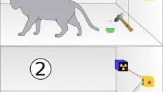 Gato de Schrödinger