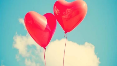 Lista IPTV con canales para adultos