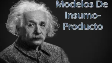 Modelos De Insumo-Producto