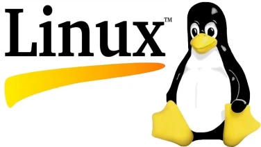 Nucleo Linux
