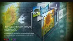 Utilice Adobe Stock Con Bibliotecas Creative Cloud