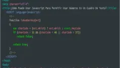 ¿Cómo Puedo Usar Javascript Para Permitir Usar Números En Un Cuadro De Texto?