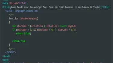 ¿Cómo Puedo Usar Javascript Para Permitir Usar Números En Un Cuadro De Texto?