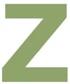 Lenguaje Z