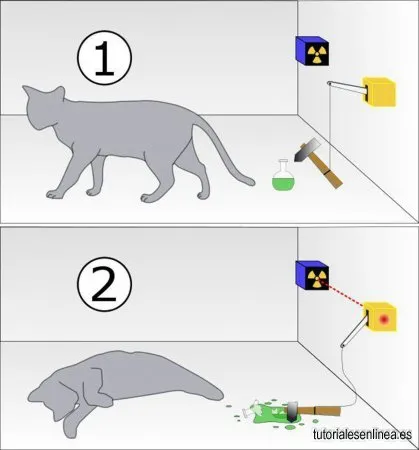 Gato de Schrödinger