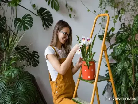 Manual sobre técnicas de jardinería en PDF