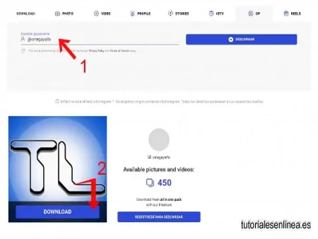 Como descargar foto del perfil de Instagram. ¿funciona para perfiles privados?